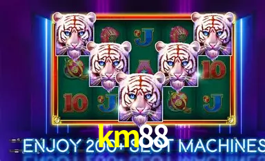 Seasonal Promotions km88